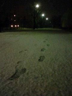 深夜の雪道1